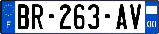 BR-263-AV