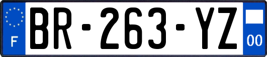 BR-263-YZ