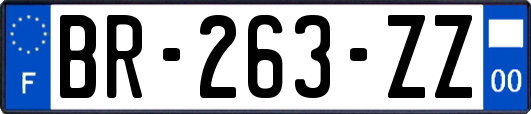 BR-263-ZZ