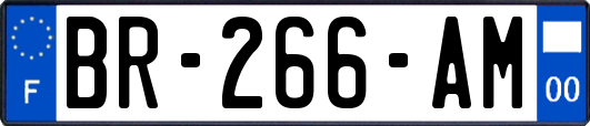 BR-266-AM