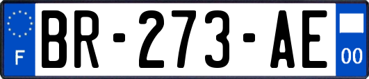 BR-273-AE