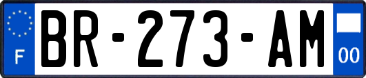 BR-273-AM