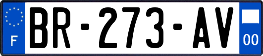 BR-273-AV