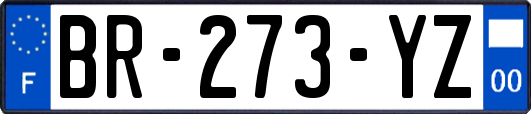 BR-273-YZ