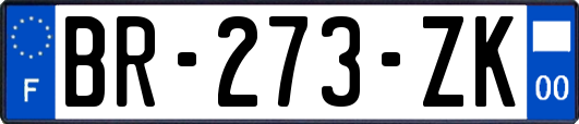 BR-273-ZK
