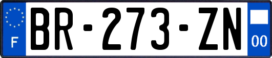 BR-273-ZN