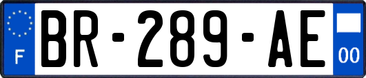 BR-289-AE