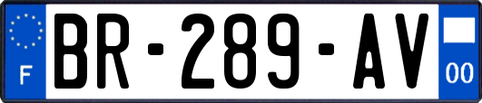 BR-289-AV