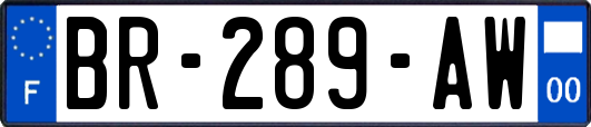 BR-289-AW