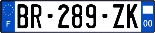 BR-289-ZK