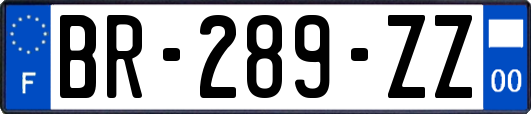 BR-289-ZZ