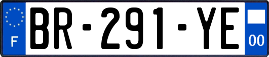 BR-291-YE