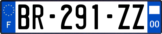 BR-291-ZZ