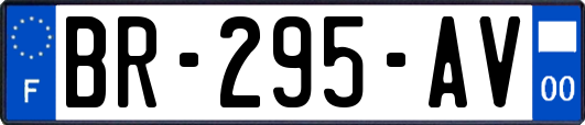 BR-295-AV