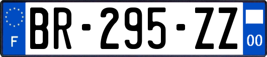 BR-295-ZZ