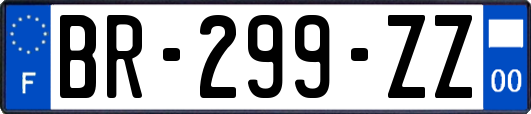 BR-299-ZZ