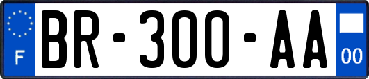 BR-300-AA