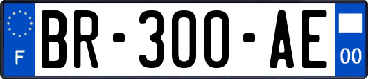 BR-300-AE