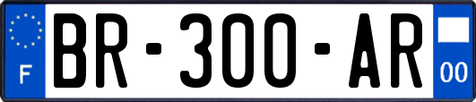 BR-300-AR