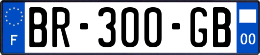 BR-300-GB