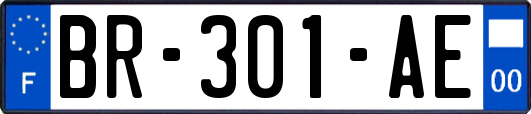 BR-301-AE