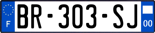 BR-303-SJ