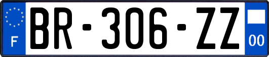 BR-306-ZZ