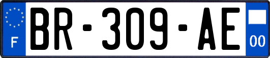 BR-309-AE