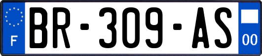 BR-309-AS