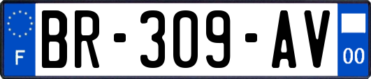 BR-309-AV
