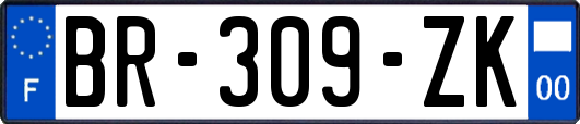 BR-309-ZK