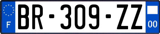 BR-309-ZZ