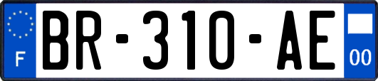 BR-310-AE