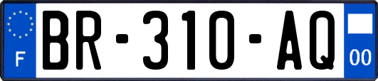 BR-310-AQ