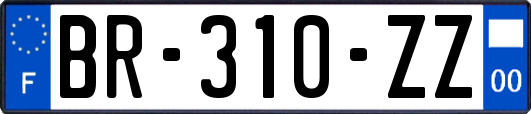 BR-310-ZZ