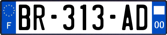 BR-313-AD