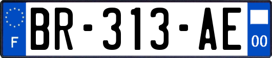 BR-313-AE