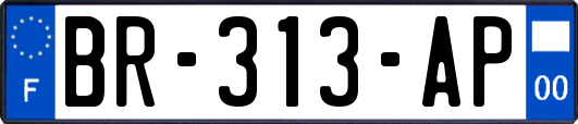 BR-313-AP