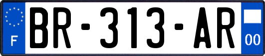 BR-313-AR