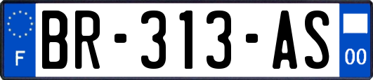 BR-313-AS