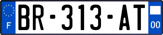 BR-313-AT