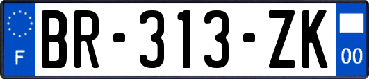 BR-313-ZK