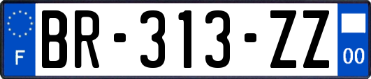 BR-313-ZZ