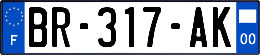 BR-317-AK