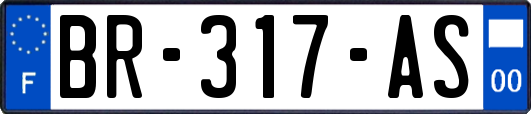 BR-317-AS