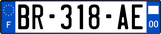 BR-318-AE