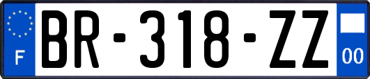 BR-318-ZZ