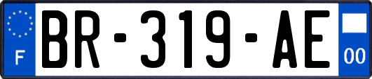 BR-319-AE