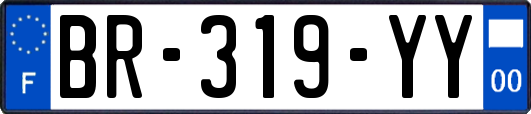 BR-319-YY