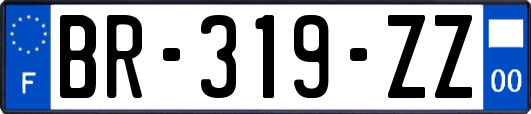 BR-319-ZZ